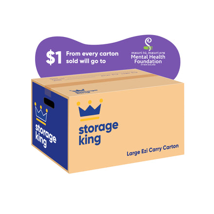 Large Ezi Carry Carton