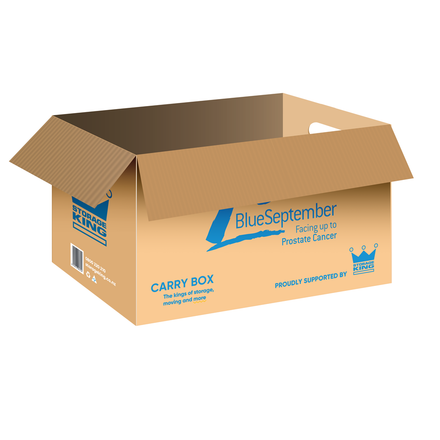 Large Ezi Carry Carton